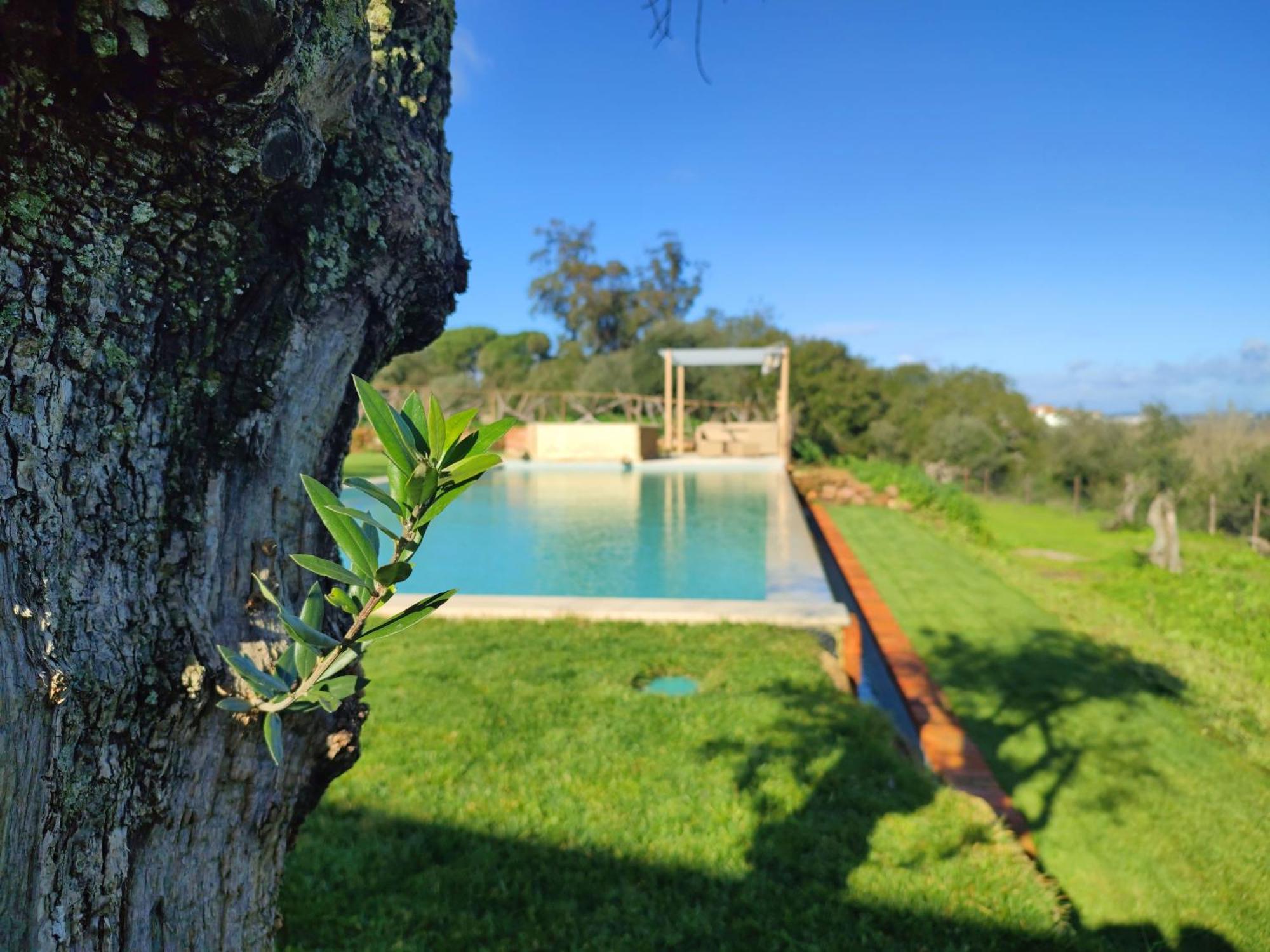 Quinta De Matrena Villa Macieiros Exterior photo